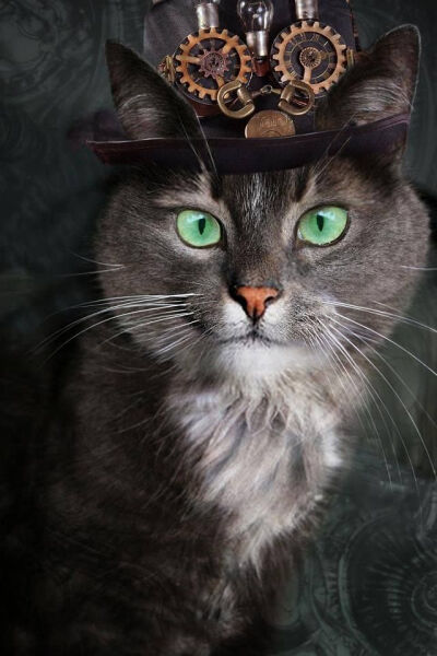 Steampunk Tendencies | Happy Caturday ! New Group : Come to share, promote your art, your event, meet new people, crafters, artists, performers... https://www.facebook.com/groups/steampunktendencies