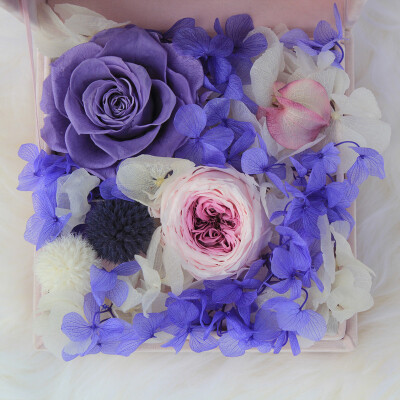 情人节鲜花包邮 典雅紫色永生花盒