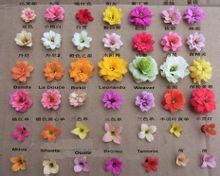 长寿花一种多肉植物，由肥大、光亮的叶片形成的低矮株丛终年翠绿。春、夏、秋三季栽植于露地作镶边材料，12月至翌年4月开出鲜艳夺目的花朵。每一花枝上可多达数十朵花，花期长达4个多月