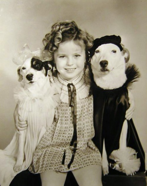  秀兰·邓波尔（Shirley Temple，1928年4月23日-2014年2月11日），儿童时期为美国著名童星之一，美国历史上第一位女礼宾司司长。生于美国加利福尼亚州的圣莫尼卡。她的父亲乔治·弗朗西斯·邓波儿，（George Francis Temple）是一位银行的出纳员，她母亲格特鲁德·阿米莉亚·邓波儿，是一位家庭主妇。她的祖先来自于英国、德国及荷兰。