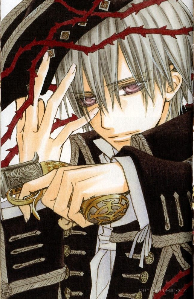 Zero, Vampire Knight