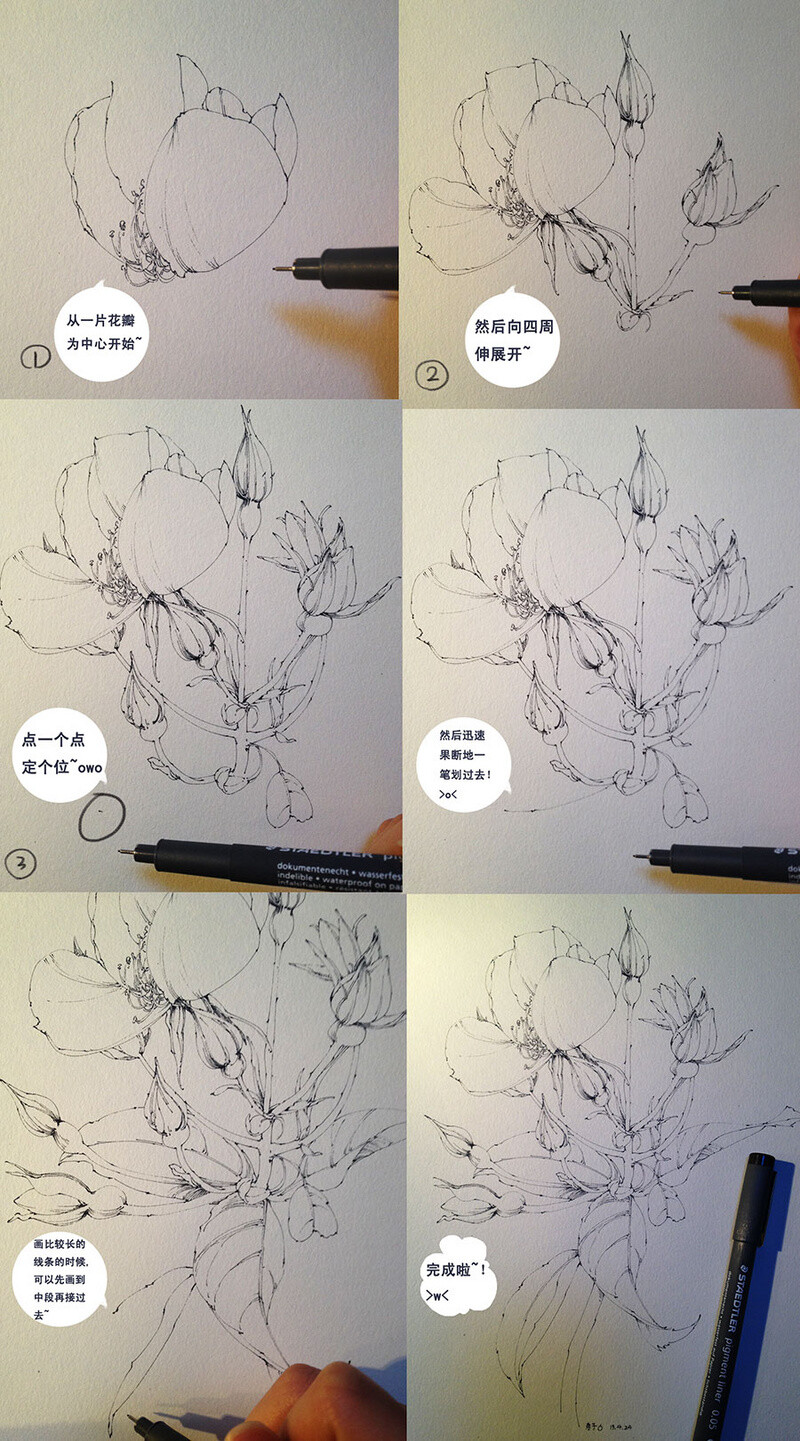 小枣子 的插画 练笔花完全是瞎掰的无责任过程图