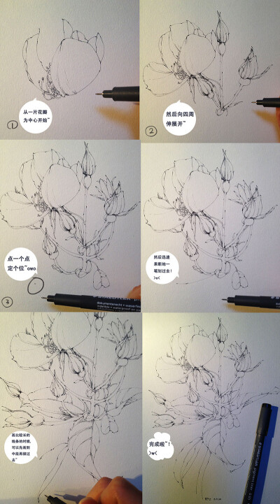 小枣子 的插画 练笔花完全是瞎掰的无责任过程图