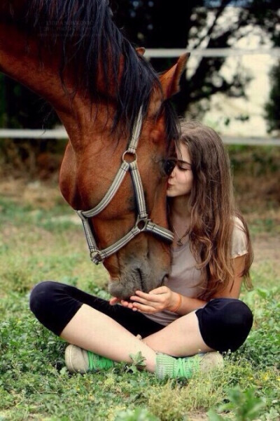 horse and you.