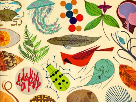 charley harper...