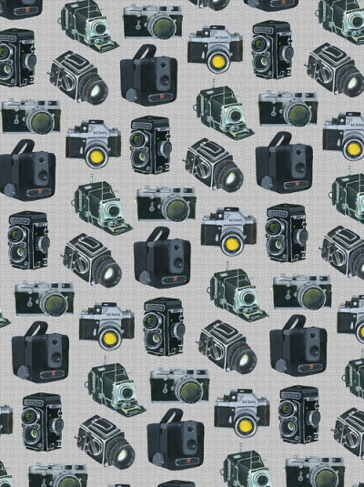 Camera repeat pattern (via Bird in the Hand) from Uppercase Magazine