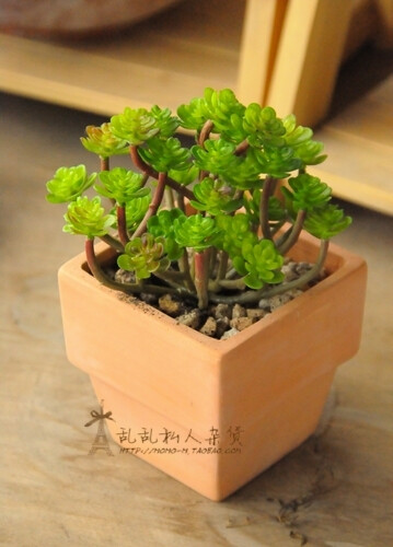 zakka森林系多肉植物莲花仿真植物仿真花假花装饰拍照道具