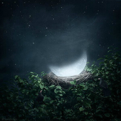 生来三叶草，死去根还土。年年情人节，几回作月人。---卓南生