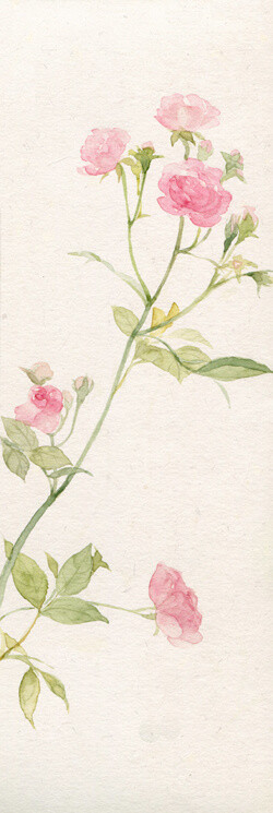 【杏雪素笺】桃年 的插画 一大堆花……