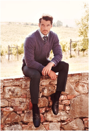 Gandy