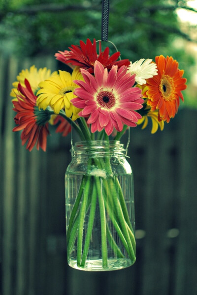 Orange gerber daisies and sunflowers would be perfect.... And I could never become tired of flowers in Mason jars!