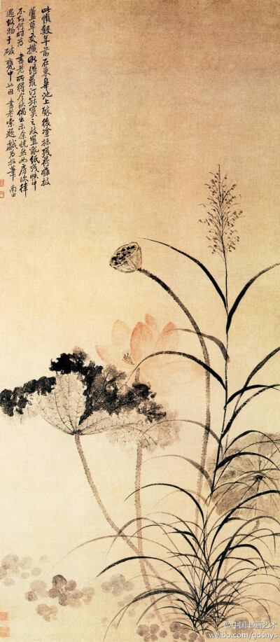 清 恽寿平《荷花芦草图》--- 此画描绘了秋风萧瑟之中，一茎新荷凌空而出，盛放的花瓣娇艳动人，与凋残半枯的荷叶以及枯槁无色的莲蓬形成鲜明对比。荷花以恽寿平特有的没骨画法绘出，色调清丽冷艳，用笔洒脱飘逸，营…