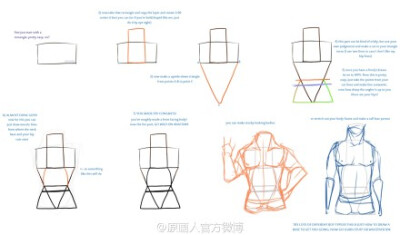 一直觉得美国lwyn 的这几篇人体躯干教程很简单，方便理解，大家可以参考下她的方法。