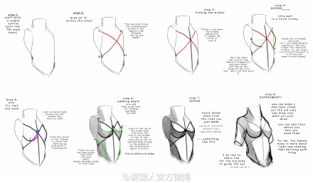 一直觉得美国lwyn 的这几篇人体躯干教程很简单，方便理解，大家可以参考下她的方法。