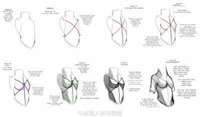 一直觉得美国lwyn 的这几篇人体躯干教程很简单，方便理解，大家可以参考下她的方法。