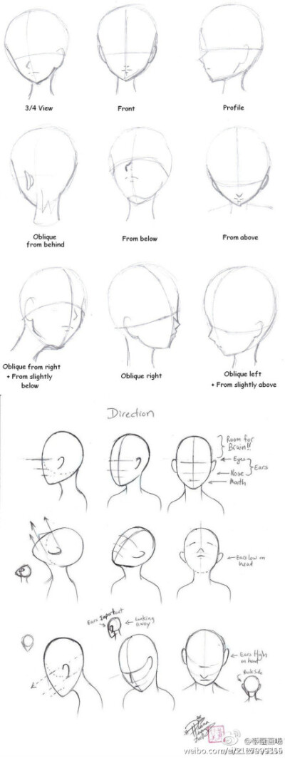 面部不同角度的比例结构~[图自网络]