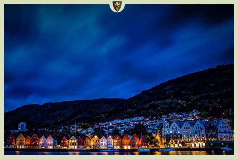 We never got a Kingdom Dance scene in Frozen to take us on a tour through Arendelle. But the town was inspired by Bryggen, the wharf district of Bergen, Norway. So this at least gives a hint.