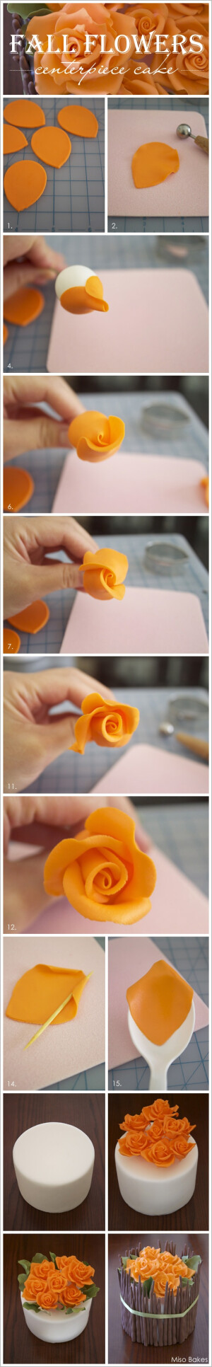 Photo only, no link. roses how to