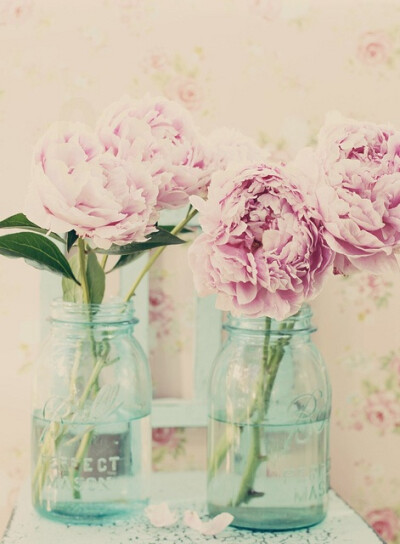 peonies by lucia and mapp, via Flickr