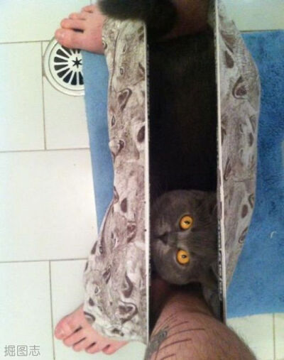 隐私神马的很重要啊(12P)_11