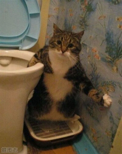 隐私神马的很重要啊(12P)_3