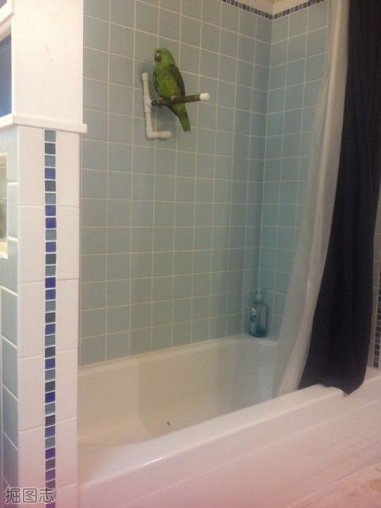 隐私神马的很重要啊(12P)_7