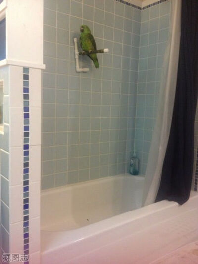 隐私神马的很重要啊(12P)_7