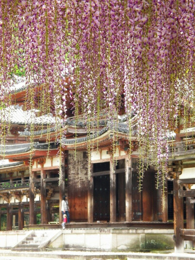 The Phoenix Hall, Kyoto, Japan