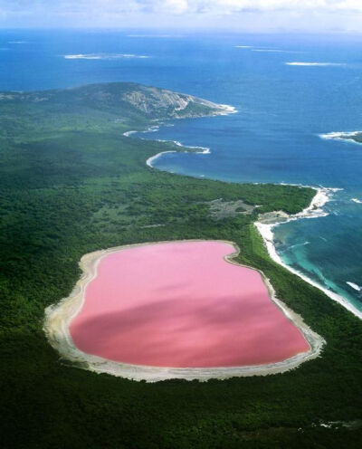 希利尔湖 澳大利亚 希利尔湖呈粉红色，其色彩是盐生杜氏藻和阳光照射共同作用的