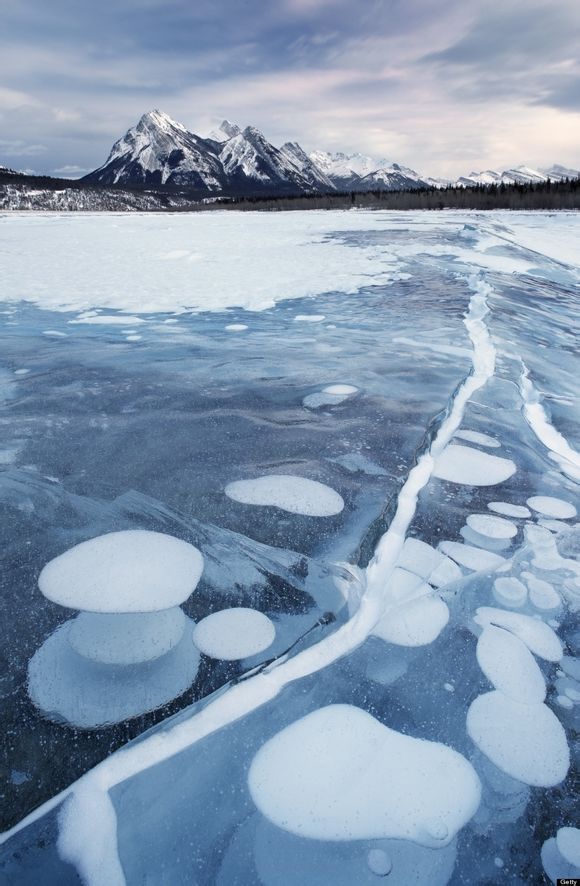 亚伯拉罕湖 加拿大亚伯达 这些冰下气泡由湖底植物释放的沼气所致。