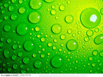 绿色晶莹剔透的水滴背景图片素材下载，现在加入素材公社即可参与传素材送现金活动