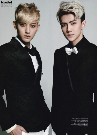 #吴世勋#【扫图】【bluebird】The Celebrity三月 sehun tao