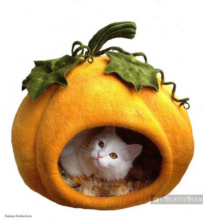 Wet Felted Cat Pumpkin Cave