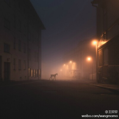 寂静的小镇，芬兰摄影师Mikko Lagerstedt的作品。又一次在lab通宵，每当清晨回家的时候，经常会在路上遇到野鸭，大雁，松鼠。。。同样的路，如果选择不同别人的时间来经过，往往能遇到不同别人的景色呢#MOMO推荐#