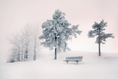 Mikko Lagerstedt