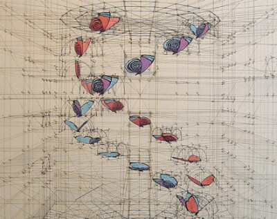 大自然序列费波那西数列（斐波那契数列、黄金分割数列）委内瑞拉艺术家 Rafael Araujo 单靠铅笔、尺、量角器画出了大自然中的奥妙数学：蝴蝶起飞的方式，贝壳的螺旋生长比例，许多作品都带有一种达文西手稿的风味，…