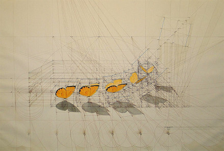 大自然序列费波那西数列（斐波那契数列、黄金分割数列）委内瑞拉艺术家 Rafael Araujo 单靠铅笔、尺、量角器画出了大自然中的奥妙数学：蝴蝶起飞的方式，贝壳的螺旋生长比例，许多作品都带有一种达文西手稿的风味，在这样大量仰赖电脑计算的年代，只靠双手绘出的分解稿格外令人感到珍贵。