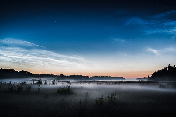 Mikko Lagerstedt