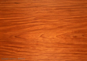 木纹特写-水纹纹理图片素材下载，现在加入素材公社即可参与传素材送现金活动