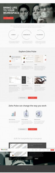 让您的员工彼此连接！Zoho Pulse企业社交网络酷站。