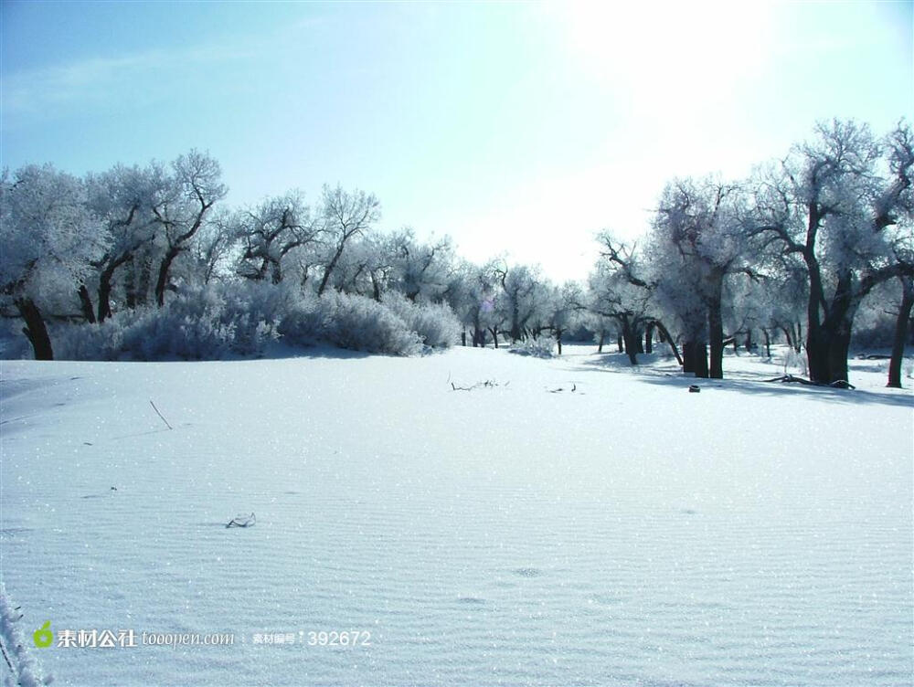 冬天雪景高清摄影桌面壁纸图片素材