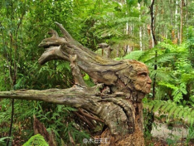 艺术家 Bruno Torfs 在旅行的过程中获得了独特的艺术灵感，这促使他从欧洲举家搬迁到澳大利亚，并在那儿的森林里建了一座雕塑花园。 http://t.cn/8F3vn3e