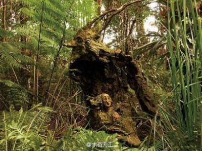 艺术家 Bruno Torfs 在旅行的过程中获得了独特的艺术灵感，这促使他从欧洲举家搬迁到澳大利亚，并在那儿的森林里建了一座雕塑花园。 http://t.cn/8F3vn3e