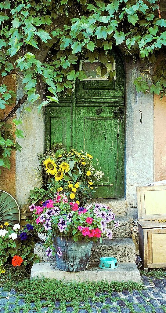 Provence is a place that I wouldn't mind visiting, but I don't think I could ever live there. They're just too brutal to their trees!