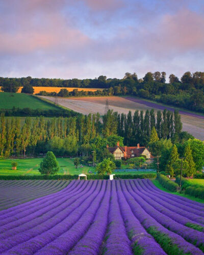 Attractive Provence http://www.travelandtransitions.com/european-travel/