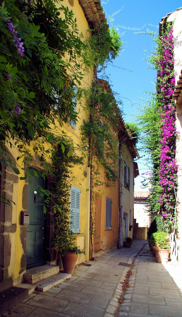 Attractive Provence http://www.travelandtransitions.com/european-travel/