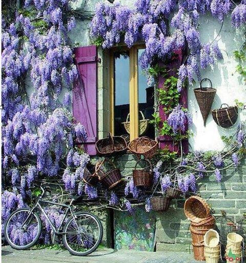 3 things I love. Pretty windows, baskets &amp;amp; lavender