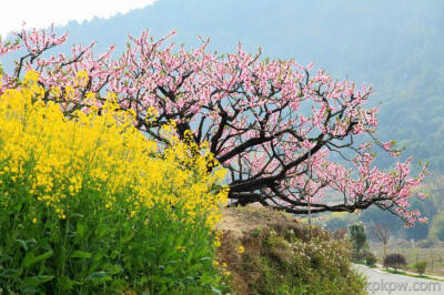 东莞松山湖