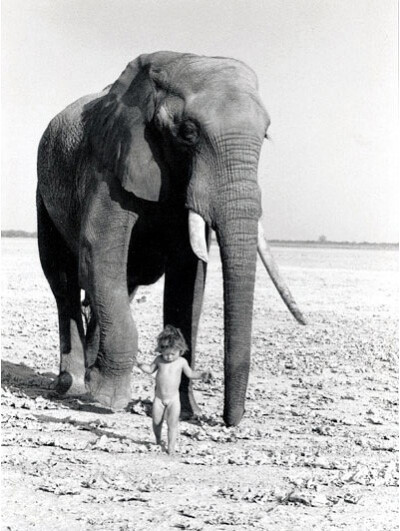 她叫tippi，一个野生的法国小女孩