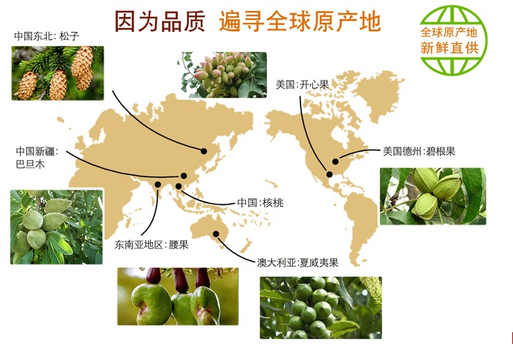 【买多的商城】坚果干果零食 美国山核桃 长寿果 碧根果 新货 促销特价 椒盐口味